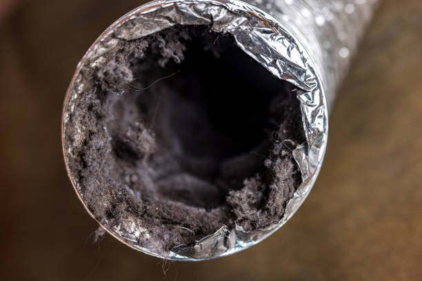 Best Air Duct Inspection  in Port Allegany, PA