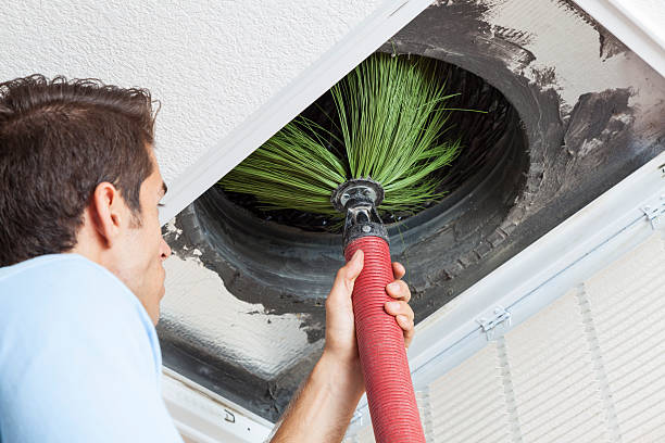 Best Home Air Vent Cleaning  in Port Allegany, PA