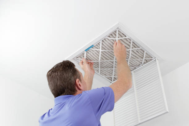 Best Professional Duct Cleaning Services  in Port Allegany, PA